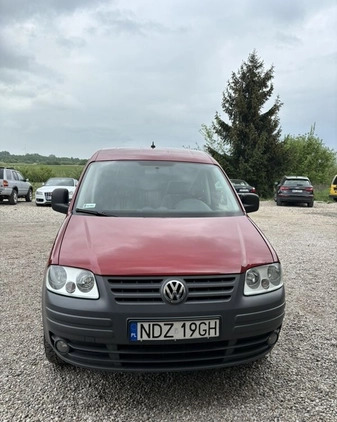 Volkswagen Caddy cena 35000 przebieg: 255392, rok produkcji 2006 z Działdowo małe 352